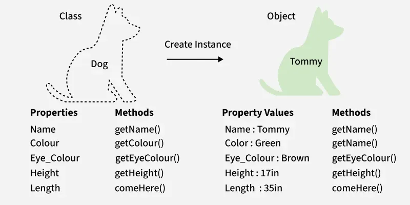 Class_Object_example-CjuY.webp